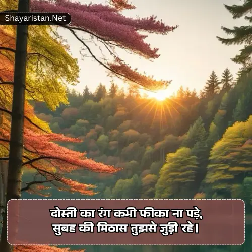 Dosti Good Morning Shayari