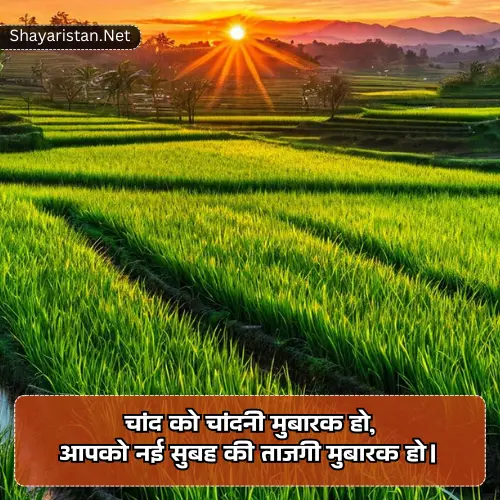 Good Morning Shayari for Gf