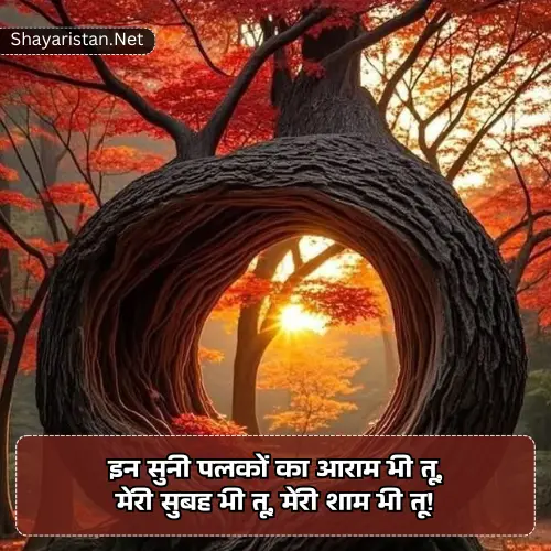 Good Morning Shayari Love