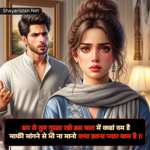 Love True Love Sorry Shayari