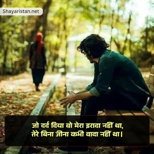 Love True Love Sorry Shayari