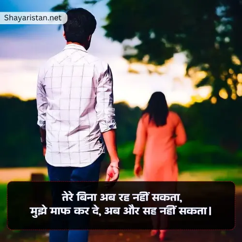 Love True Love Sorry Shayari