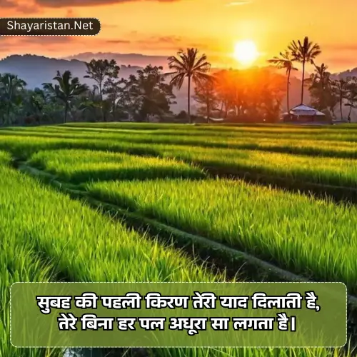 Miss You Good Morning Love Shayari