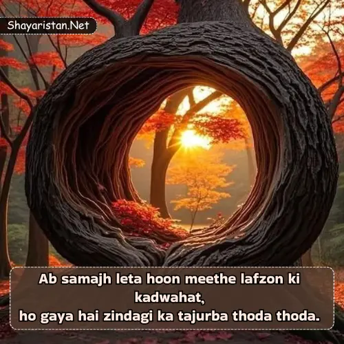 Life Shayari in English