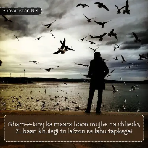 Sad Shayari in Hindi English